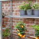 1x5 Access Half Westminster Mini Lean To Greenhouse Seed Tray Stand