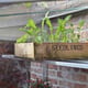 3x6 Access Hampton D  Mini Greenhouse High Shelving