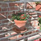 3x6 Access Hampton D  Mini Greenhouse Shelving