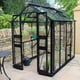 Eden Birdlip 4x8 Greenhouse with Black Powder Coating