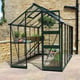 Eden Burford 6x10 Green Greenhouse with Zero Threshold Base