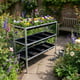 Elite 3 Tier 12 Seed Tray Frame