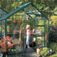 Elite Belmont 8x4 Greenhouse with Green Powder Coating
