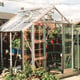 Elite Belmont 8x6 Greenhouse with Double Doors