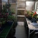 Real customer Elite Kensington 6ft aluminium greenhouse growing interior