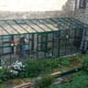 Elite Kensington 6x24 Lean to Greenhouse
