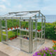elite sanctuary 6 6x8 greenhouse silver seaview