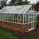 Elite Thyme 14x8 Dwarf Wall Greenhouse in White Powder Coating