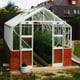 Elite Thyme 14x8 Dwarf Wall Greenhouse in White