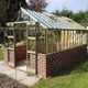 Elite Thyme 8x14 Dwarf Wall Greenhouse in Olive