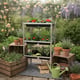 Elite 3 Tier 6 Seed Tray Frame