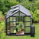Elite Titan 8x12 Greenhouse with Polycarbonate Glazing Black