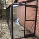 Elite Windsor 4x12 Greenhouse in Brown
