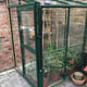 Elite Windsor 4x4 Lean to Greenhouse Horticultural Glazing