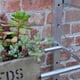 2x4 Access Value Lean To Greenhouse Aluminium Folding Shelves
