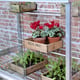2x4 Access Value Lean To Greenhouse Aluminium Shelving
