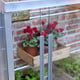 2x4 Access Value Lean To Greenhouse Aluminium Sliding Front Panels