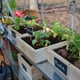Palram Canopia Octave 8x12 Silver Polycarbonate Greenhouse