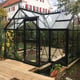 Janssens Junior T Orangery Growroom