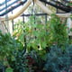 7x7 Janssens Helios Retro Greenhouse Shading
