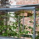 2x4 Access Freestanding Tomato House