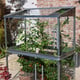 2x4 Access Min Tomato House
