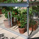 2x4 Access Tomato House Freestanding