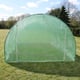Polytunnel 6m x 3m 25mm Frame