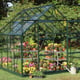 Halls Magnum 8x10 Green Greenhouse 2
