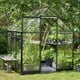Halls Qube 6x6 Greenhouse Front Door Open View