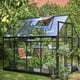Halls Qube 8x6 Greenhouse Open Vent View