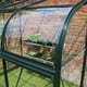 Halls Silverline Lean to Greenhouse Acrylic Curve
