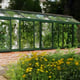 Janssens Arcadia 5x12 Lean To Greenhouse