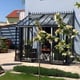 Janssens Arcadia 5x8 Victorian Lean To in Black