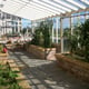 Janssens Arcadia Plus Mur Lean To Dwarf Wall Greenhouse Interior