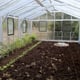 Janssens Gigant Hobby Greenhouse Interior