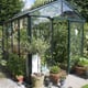 Janssens Helios Master Victorian Greenhouse Door