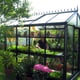 Janssens Helios Master Victorian Greenhouse in Green