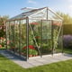 8x10 Janssens Master Greenhouse