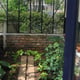 Janssens Mur Dwarf Wall Greenhouse Interior