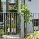 Juliana Balcony Greenhouse Back