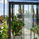 Juliana Balcony Greenhouse Door