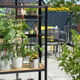 Juliana City Greenhouse and Growhouse
