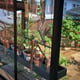 Juliana City Greenhouse Back