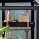 Juliana City Greenhouse Tray