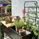 Juliana Vertical Greenhouse Rack