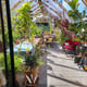 Norhage Tre 300 wooden polycarbonate greenhouse interior with plants and seating