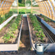 Norhage Tre 300 wooden polycarbonate greenhouse interior with raised growing beds
