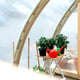 Swedish pine staging shelf in the Norhage Vegg 300 lean-to greenhouse