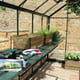 Eden Optional Staging in Green